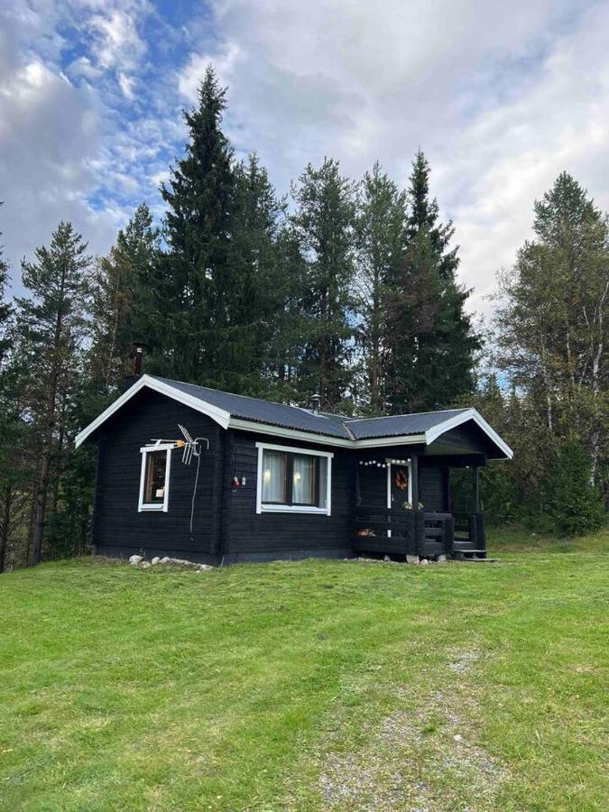 Gemuetliches Blockhaus Im Wald Βίλα Auktsjaur Εξωτερικό φωτογραφία
