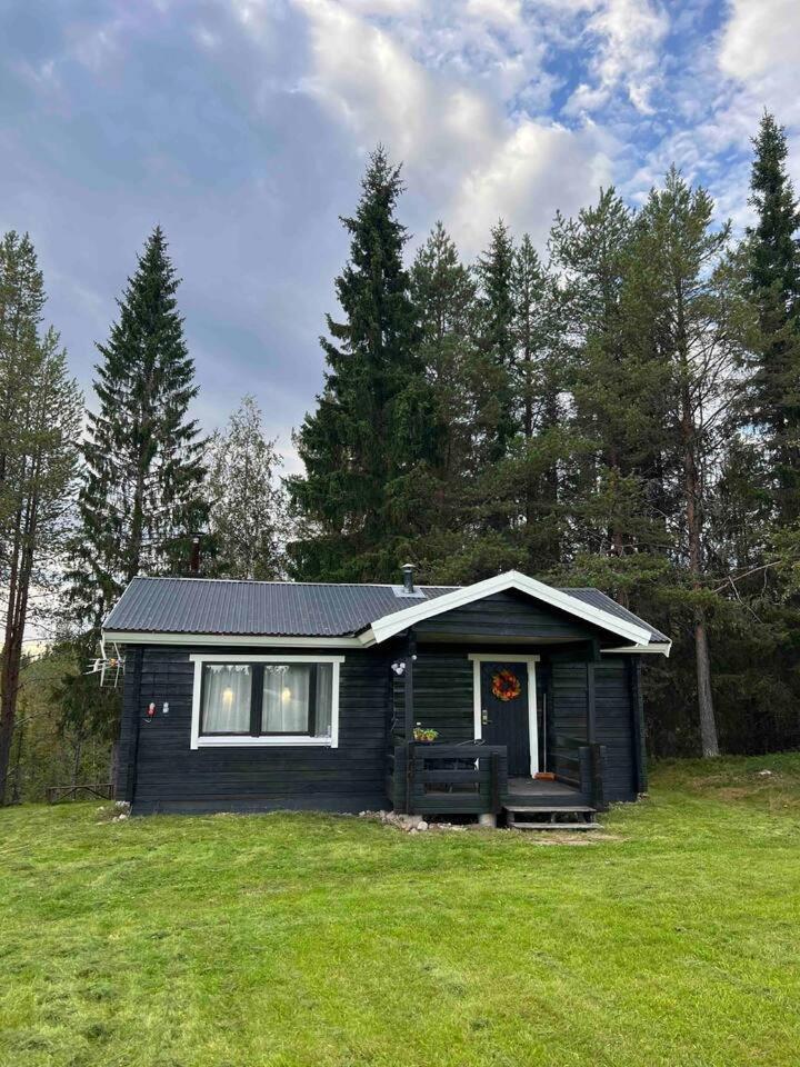 Gemuetliches Blockhaus Im Wald Βίλα Auktsjaur Εξωτερικό φωτογραφία